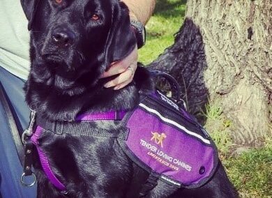 A Boy and his Dog: The Journey of Welcoming a Service Dog into the Family