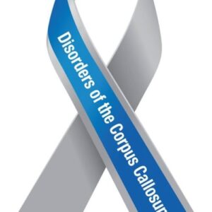 DCC Brain Awareness Ribbon Car Magnet