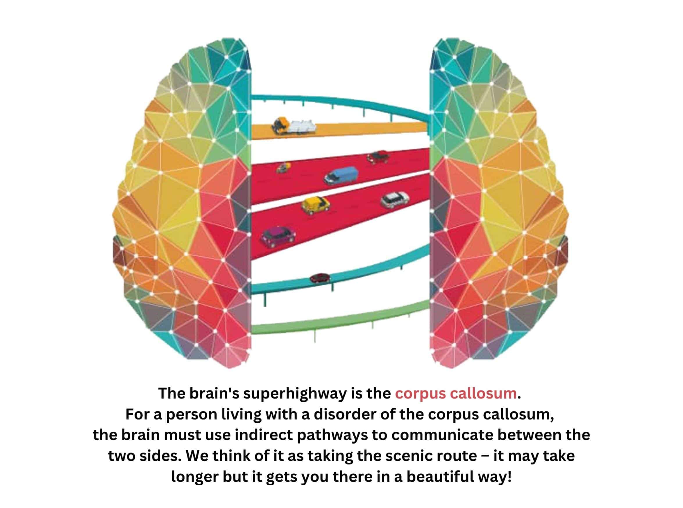superhighway graphic (1)