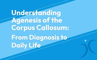 Understanding Agenesis of the Corpus Callosum: From Diagnosis to Daily Life