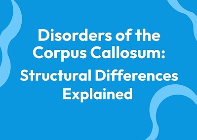 Disorders of the Corpus Callosum: Structural Differences Explained